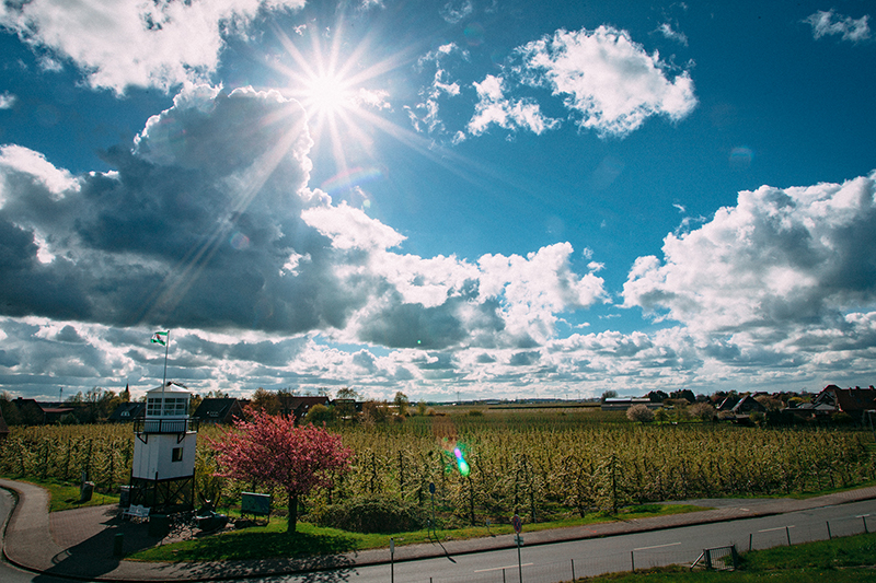 Ferienwohnung deluxe Altes Land